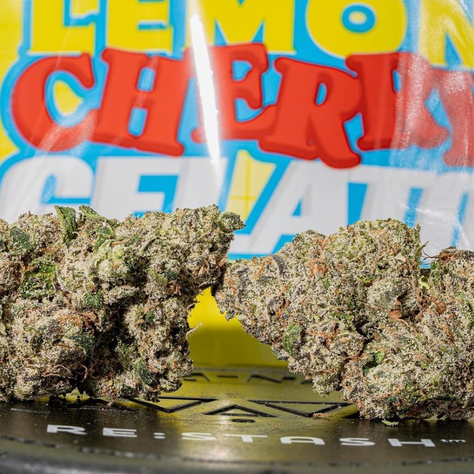Backpack Boyz | Lemon Cherry Gelato